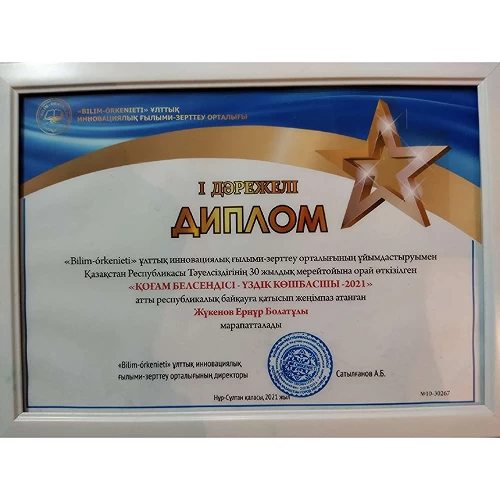 Достижения. №6