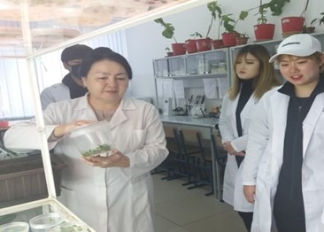 Лесова жаниха туреевна